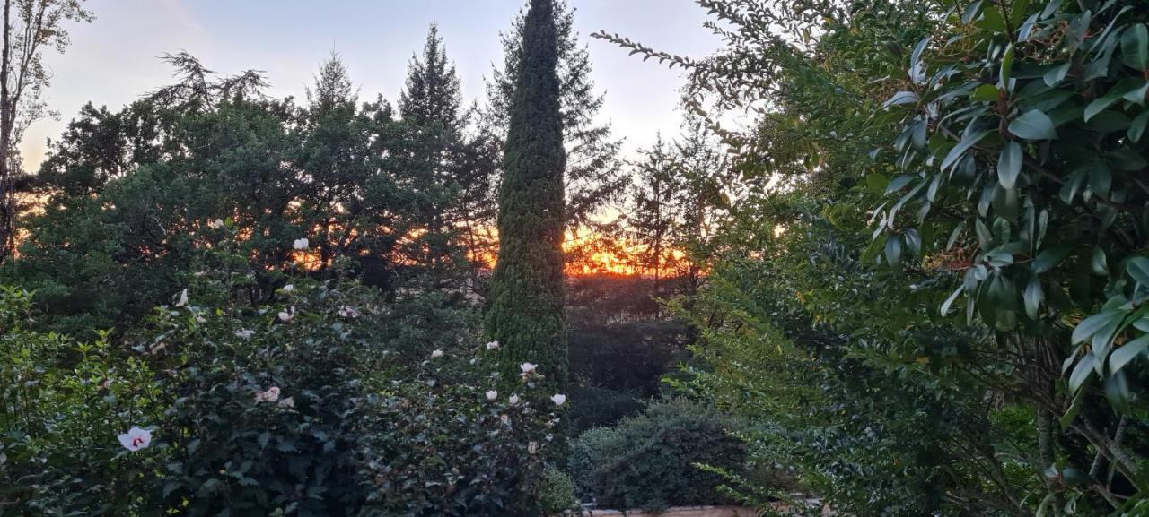 L'Ecrin De Sarlat Villa Eksteriør billede